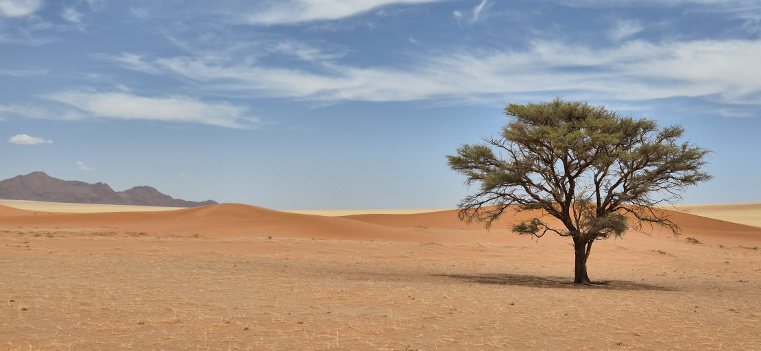 original 20251205 132538