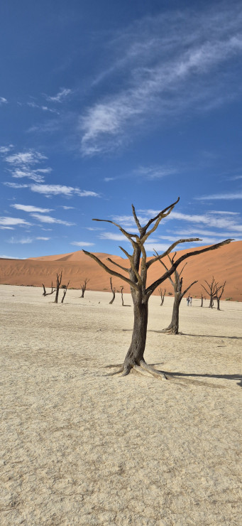 original 20251206 085418