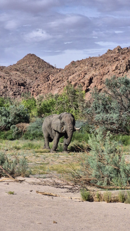 original 20251208 165433