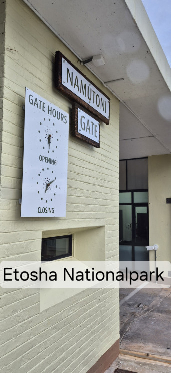 original 20251210 065505