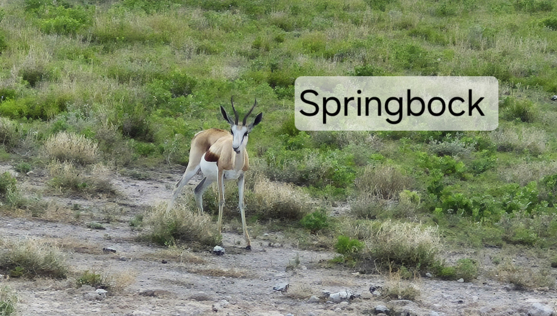 original 20251210 082002