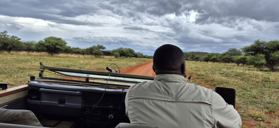 original 20251211 163504