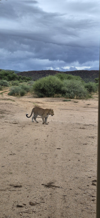 original 20251211 165716