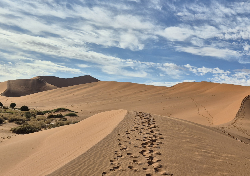 Bild von Endlose Weiten & wilde Tiere - Rundreise durch Namibia